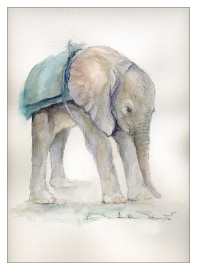 January 2019 watercolour by Angela Sheldrick